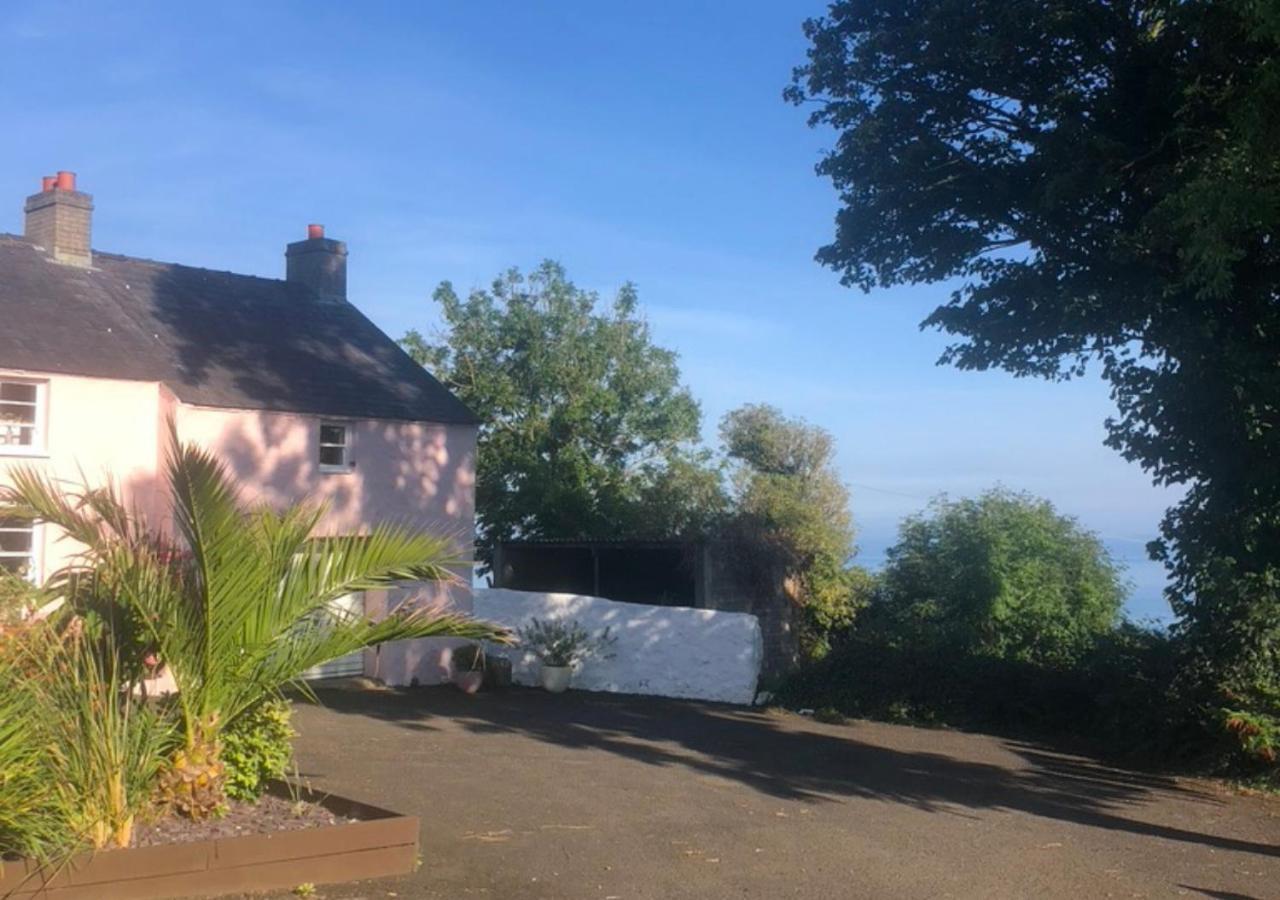 The Pink Cottage Upstairs Suite & Garden Summer Room Whitehead Buitenkant foto