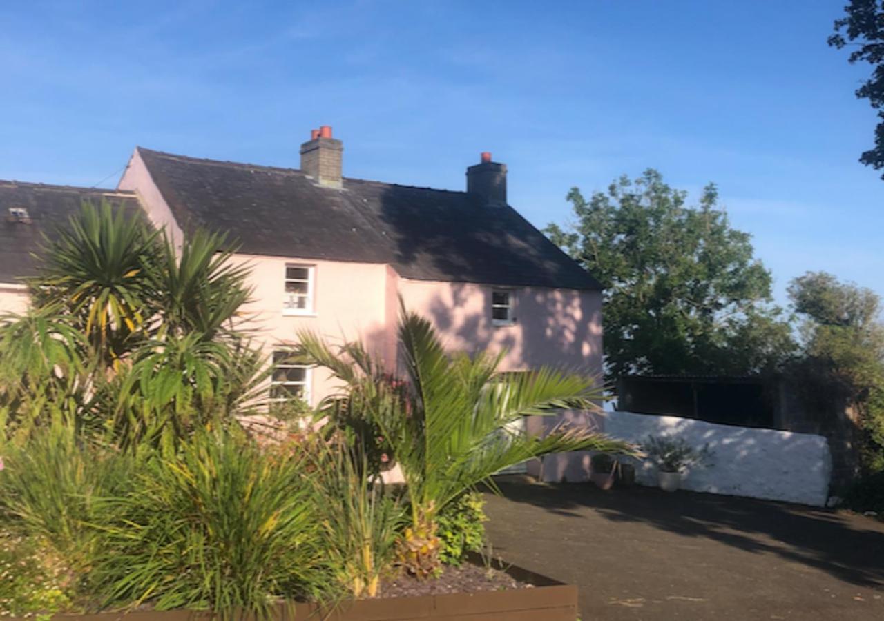 The Pink Cottage Upstairs Suite & Garden Summer Room Whitehead Buitenkant foto