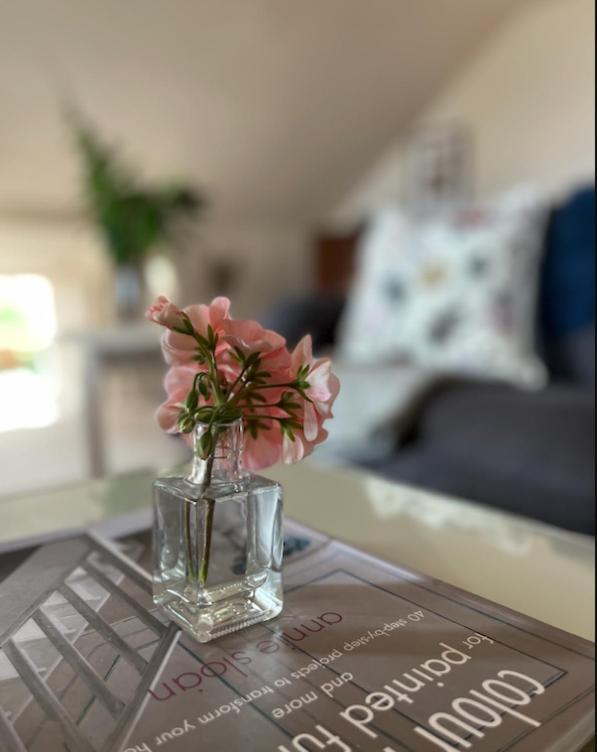 The Pink Cottage Upstairs Suite & Garden Summer Room Whitehead Buitenkant foto