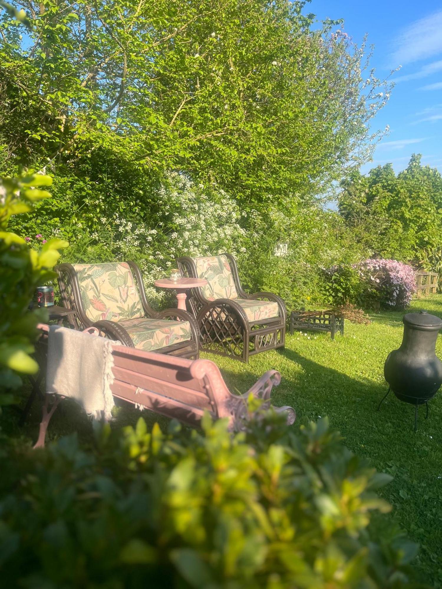 The Pink Cottage Upstairs Suite & Garden Summer Room Whitehead Buitenkant foto