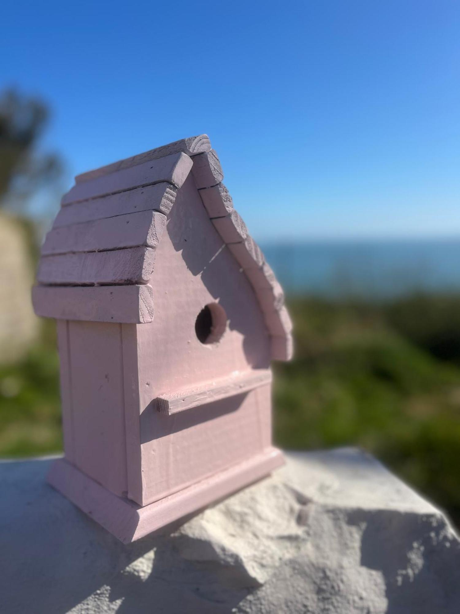 The Pink Cottage Upstairs Suite & Garden Summer Room Whitehead Buitenkant foto